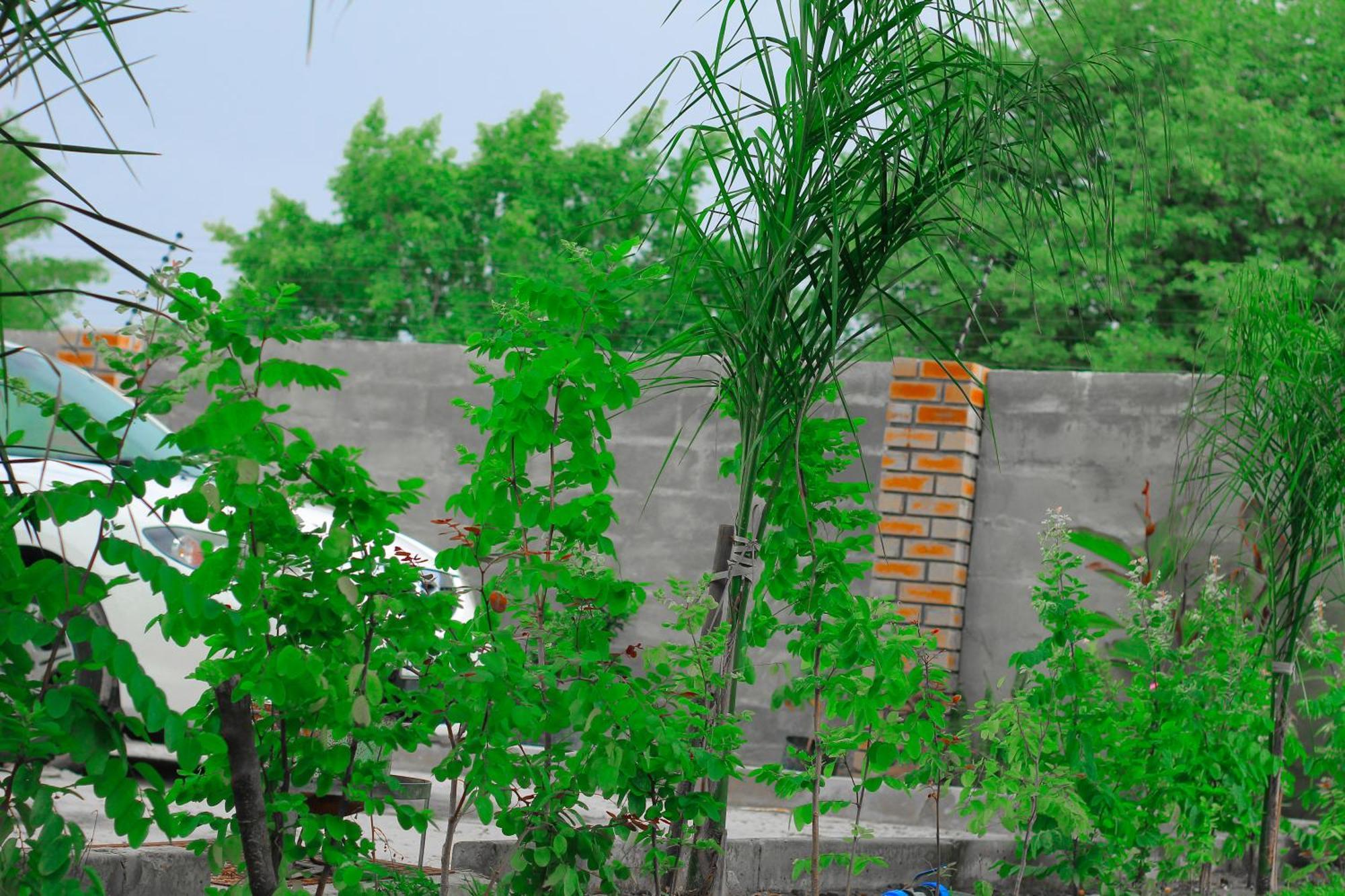 Golentle Home Stay Maun Cameră foto